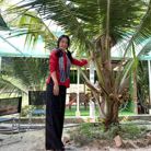 Thanh Diệu - Tìm người để kết hôn - Bình Phước, Đồng Nai - Em chân thành , giản di