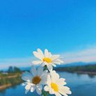 Ngô văn học - Tìm người yêu lâu dài - Phú An, An Giang - Tìm người yêu lâu dài