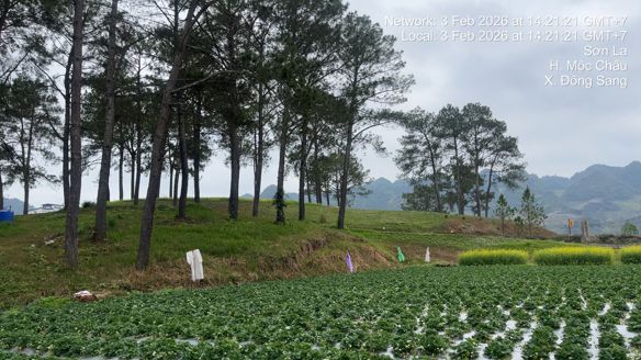 Bạn Nam Nam Độc thân 34 tuổi Tìm người yêu lâu dài ở Hoàng Mai, Hà Nội