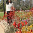 Tam - Tìm người yêu lâu dài - Cầu Ông Lãnh, Hồ Chí Minh - Tìm bạn tâm giao