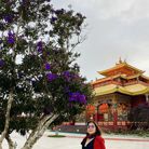 Triky2026 - Tìm bạn đời - Texas, Mỹ - Tìm bạn đời