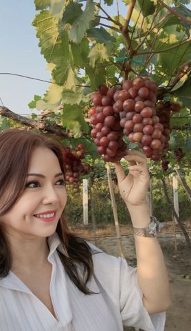 Bạn Nữ Ngoc Hương Độc thân 50 tuổi Tìm người yêu lâu dài ở Chợ Lớn, Hồ Chí Minh