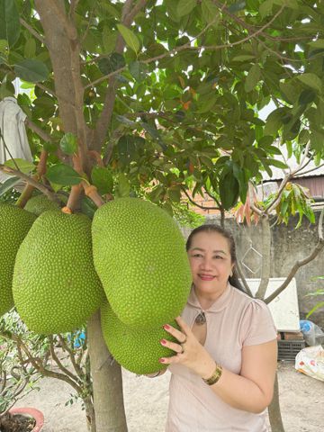 Bạn Nữ Kim Hằng Độc thân 52 tuổi Tìm người yêu lâu dài ở Hóc Môn, Hồ Chí Minh