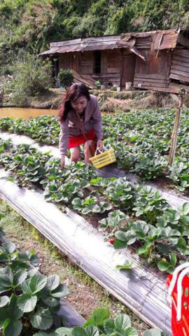 Bạn Nữ Hậu Phương Ly dị 42 tuổi Tìm người để kết hôn ở Sài Gòn, Hồ Chí Minh