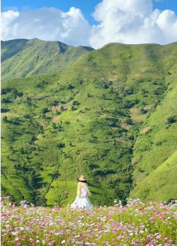 Bạn Nữ Nu Độc thân 42 tuổi Tìm người yêu lâu dài ở Thanh Xuân, Hà Nội