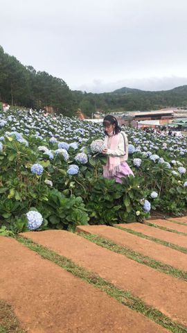 Bạn Nữ Mỹ Ngọc Ly dị 33 tuổi Tìm người yêu lâu dài ở Tân Thạnh, Cần Thơ