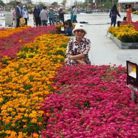 Pham Kim - Tìm người để kết hôn - Thủ Đức, Hồ Chí Minh - " Chân tình, nghiêm túc"