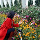 NẮNG MAI - Tìm người yêu lâu dài - Hai Bà Trưng, Hà Nội - Tìm người phù hợp