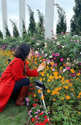 Bạn Nữ NẮNG MAI Độc thân 45 tuổi Tìm người yêu lâu dài ở Hai Bà Trưng, Hà Nội