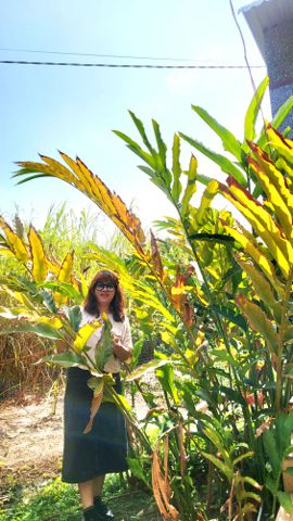 Bạn Nữ Yến Thu Ly dị 43 tuổi Tìm người yêu lâu dài ở Bình Dương, Hồ Chí Minh