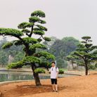 An - Tìm người để kết hôn - Lâm Thao, Phú Thọ - Ok