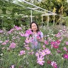 Bằng lăng tím - Tìm người để kết hôn - Nha Trang, Khánh Hòa - Chân thành
