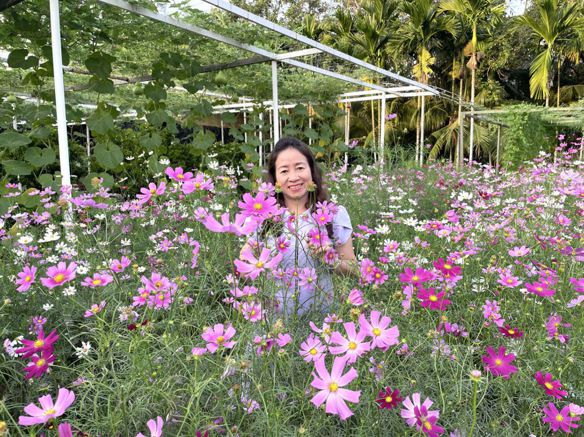 Bạn Nữ Bằng lăng Độc thân 44 tuổi Tìm người để kết hôn ở Nha Trang, Khánh Hòa