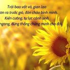 Phúc - Tìm người yêu lâu dài - Cam Ly - Đà Lạt, Lâm Đồng - Hello you