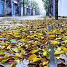 Hải - Tìm người để kết hôn - Thăng Bình, Đà Nẵng - Là người bt
